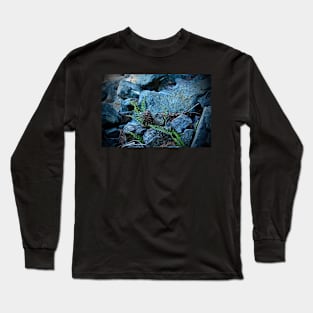 Tiny Ferns and Pinecone Long Sleeve T-Shirt